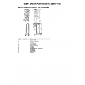 Деталировка Пароконвектомат газ. Rational CM201-2AC230V50-60Hz-R202 G21MF0602-