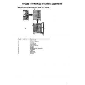 Деталировка Пароконвектомат газ. Rational CPC202-1NAC230V50-60Hz-R000 G22CD0109-