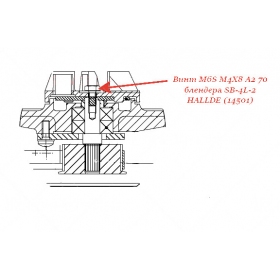 ВИНТ, M6S M4X8 A2 70 для блендера Hallde