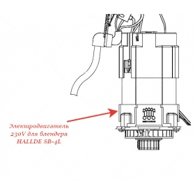 ДВИГАТЕЛЬ, 220-240 1 50/60 для блендера Hallde